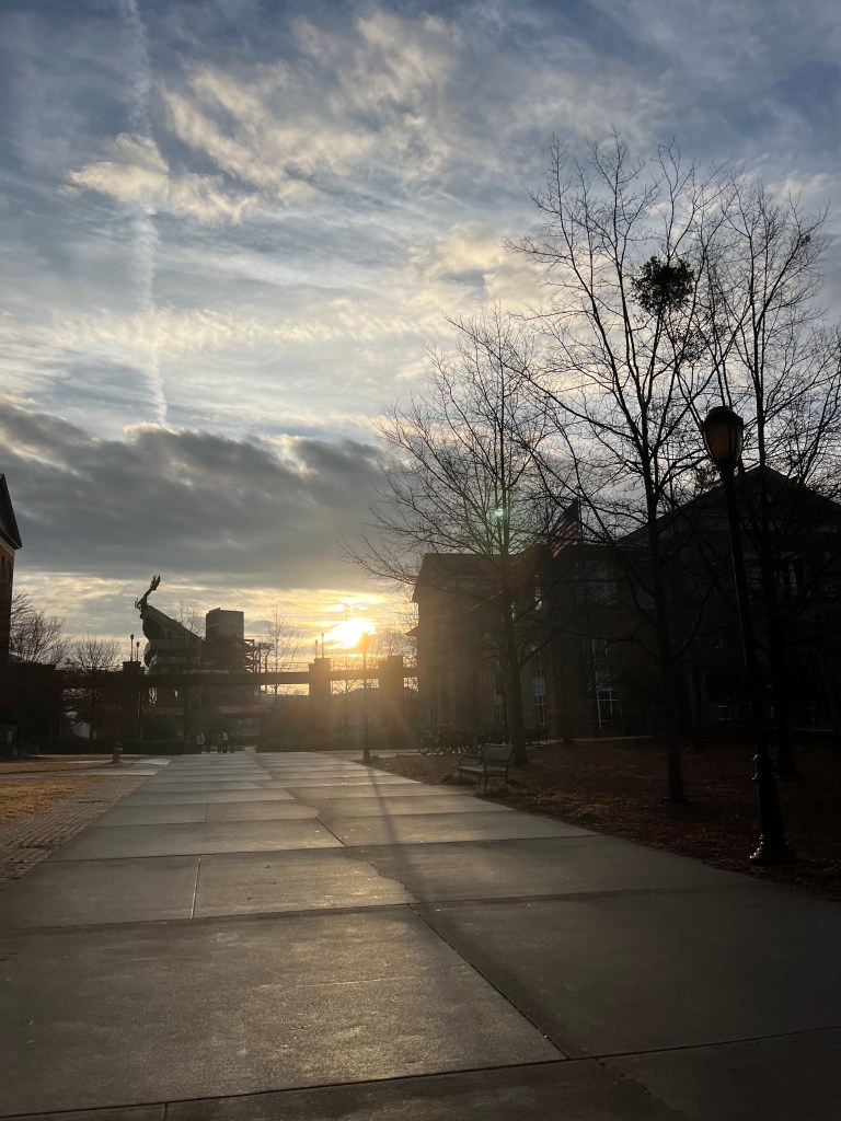 morning-walk-sunrise