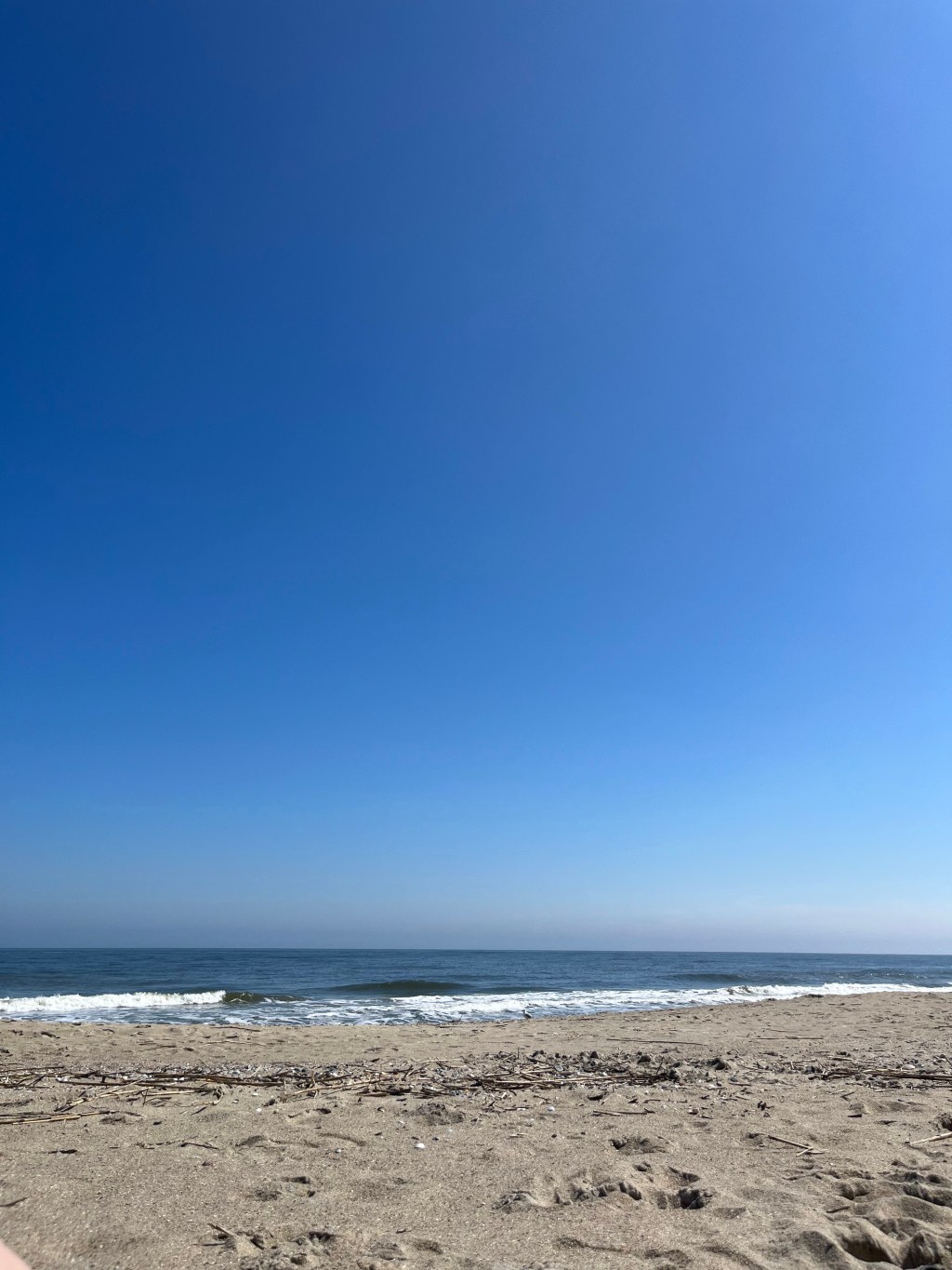 What The Summer&nbsp;Brings